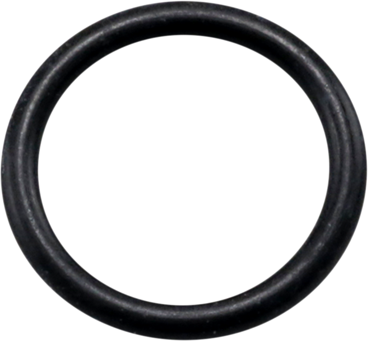 James Gasket Drain Plug O-Ring St-11900045-10