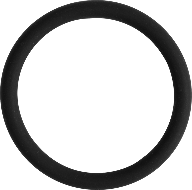 Wsm Cam Sensor O-Ring - Sea Doo 008-599-27