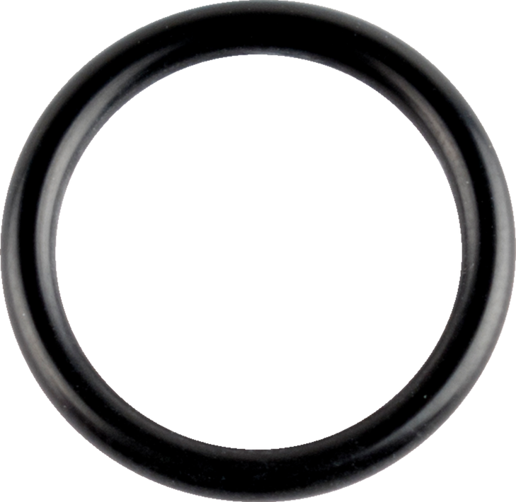 Wsm Crankshaft O-Ring - Sea Doo 008-600-07