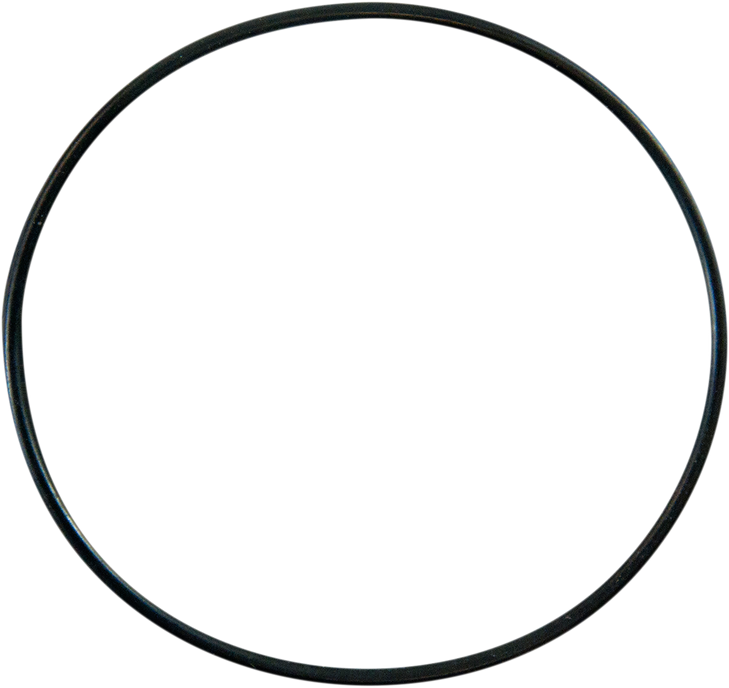 Pro Circuit Replacement O-Ring Pc4008-0401