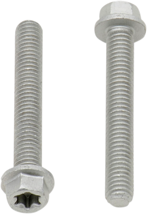 Bolt Bolt - European - M6 X 40 - 10-Pack 024-60640