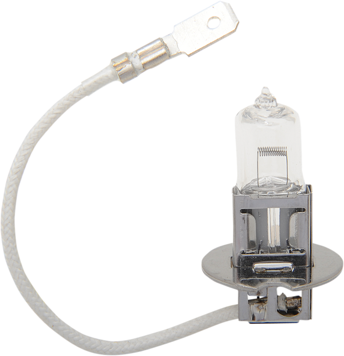 Drag Specialties Halogen Bulb - H3 - 55 W