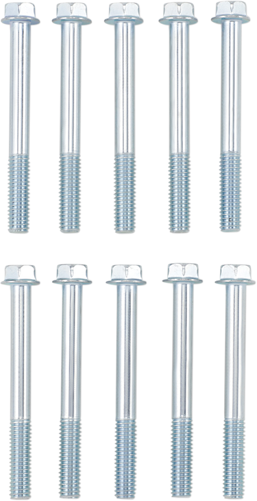 Bolt Bolt - Flange - M6 X 55 - 10-Pack 024-10655
