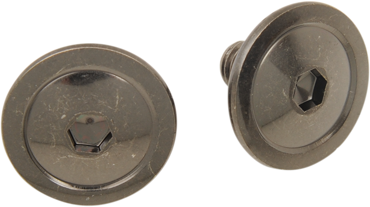 Z1R F.I. Visor Screws - Kit