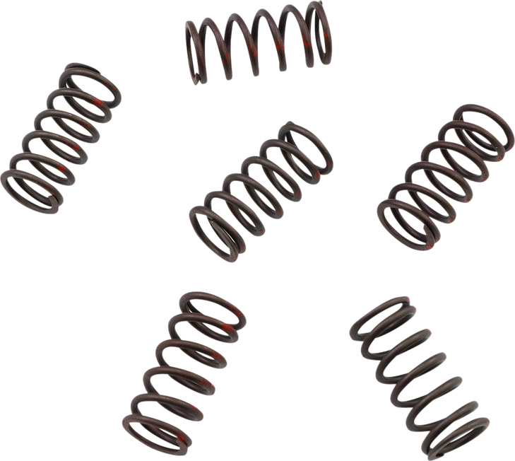 Kg Powersports Clutch Spring Set Kgs-802