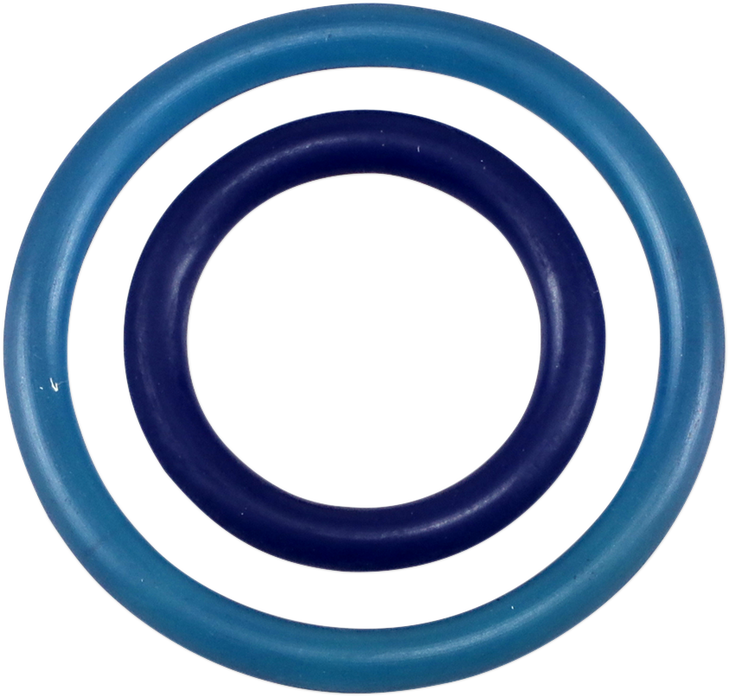 Works Performance Bladder O-Ring Kit