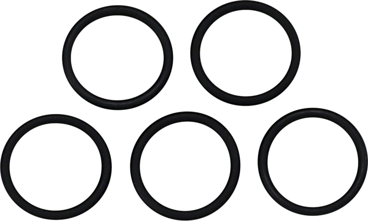 James Gasket Thermostat O-Ring Jgi-10969