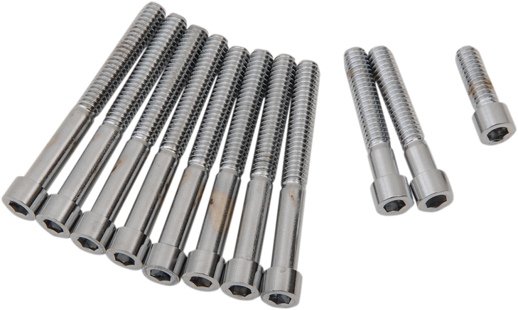 Drag Specialties Cover Bolts - Socket - Primary - Smooth - Xl