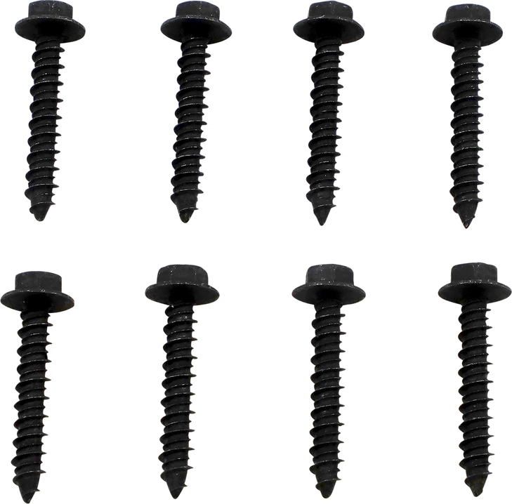 Moose Utility Clutch Cover Screw - Polaris 100-3169-Pu
