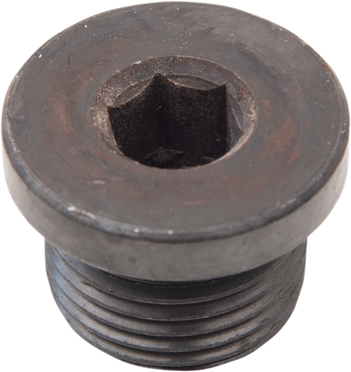 Daytona Twin Tec Llc O2 Sensor Plug - 18 Mm X 1.5 Mm - Steel 115002