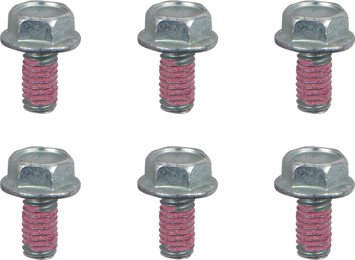 Moto-Master Bolts - Rotor - M6 X 12 12017-Pu