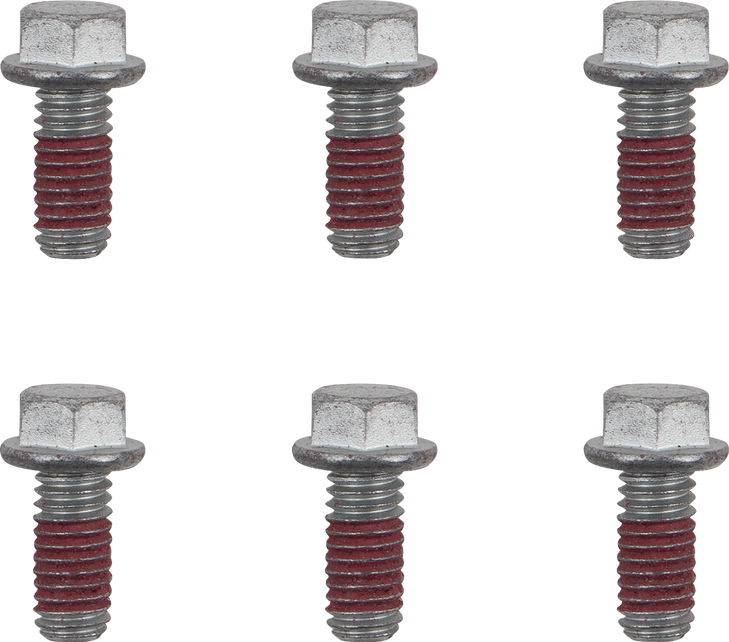 Moto-Master Bolts - Rotor - M6 X 13 12019-Pu