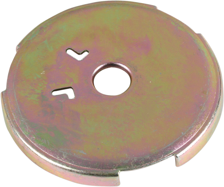 Friction Plate 39-21253