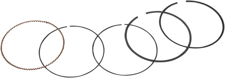 Wsm Piston Rings - 69.50 Mm - Honda 51-229-07