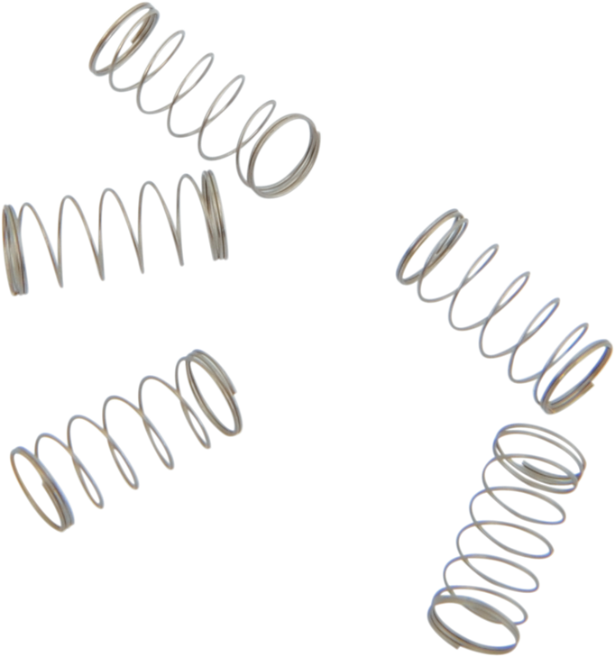 S&S Cycle Springs - Check Ball - 5 Pack 11-2392