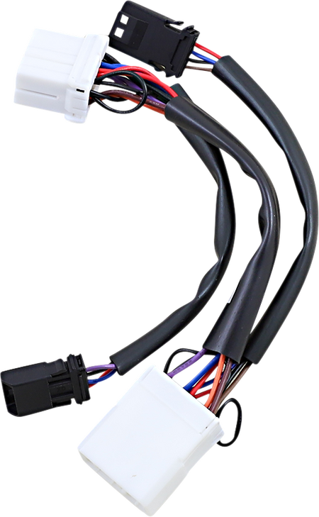 Custom Dynamics Adapter - Dual Color Plasma Rods Pr-Mprseq-Hd