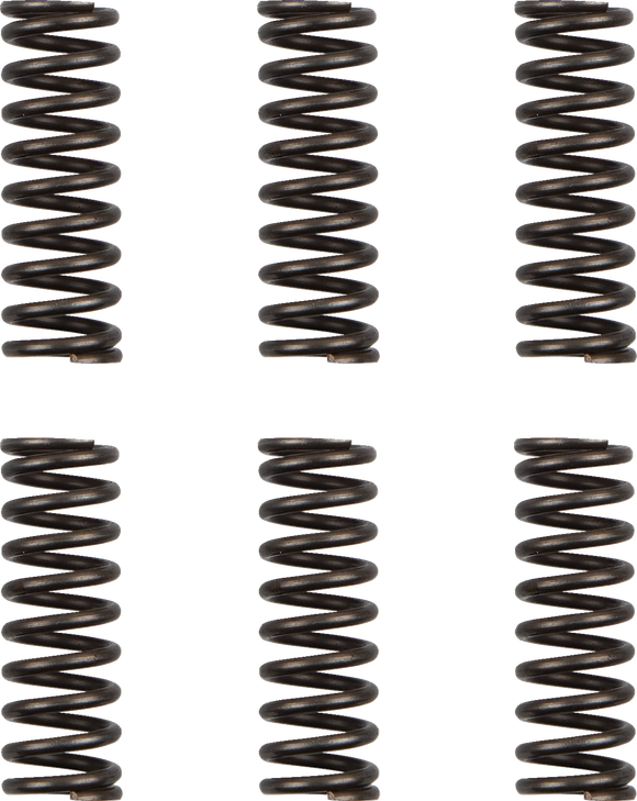 Moose Racing Clutch Springs - Wr/Yz 450F Hds-156-6