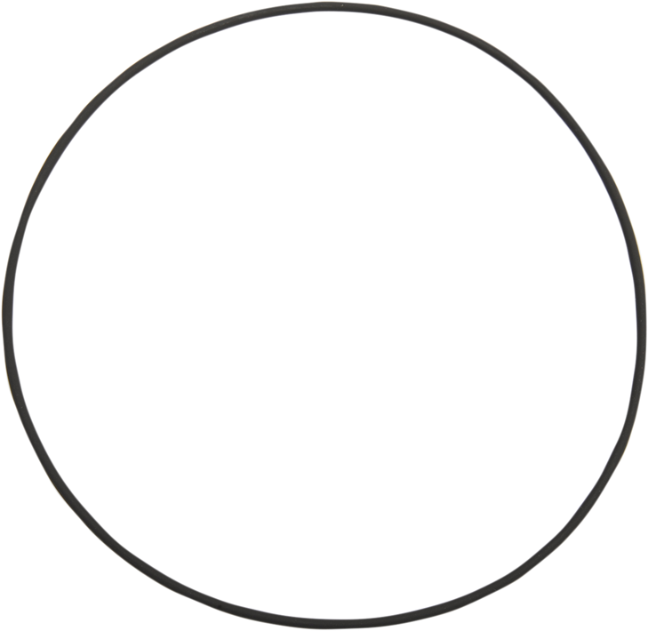 Jims Cam Cover Large O-Ring 2171
