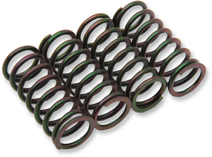 Barnett Clutch Spring Set 501-58-04076
