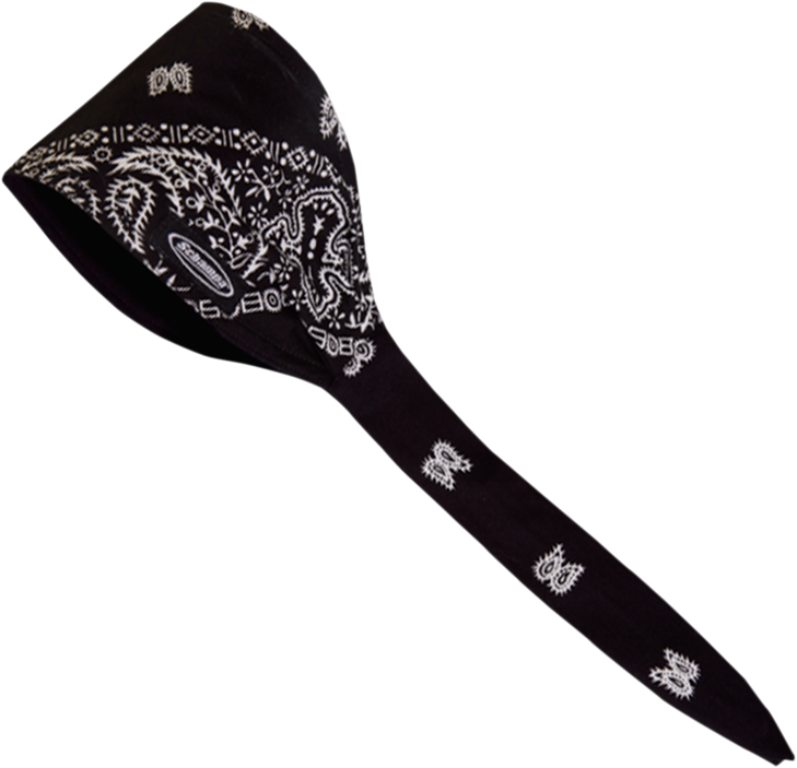 Schampa & Dirt Skins Old School Bandana - Traditional Black Paisley Osb1-100