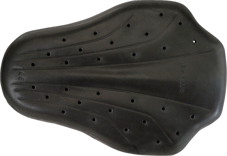 Z1R Back Guard - Black - Small