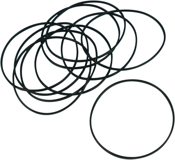 James Gasket Derby Cover O-Ring - Xl Jgi-25463-94
