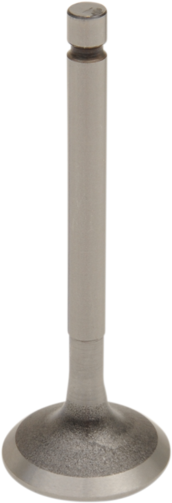 Prox Exhaust Valve - Yamaha 28.2200-1