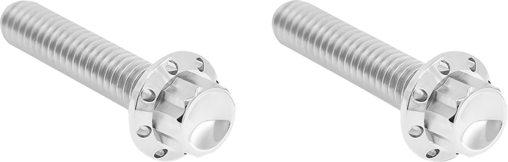 Arlen Ness Hardware Kit Titanium 12-Pnt M8/Tc Hyd Clutch Plsh 300-706