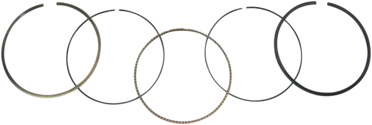 Wsm Piston Rings - 101.00 Mm - Yamaha 51-544-07