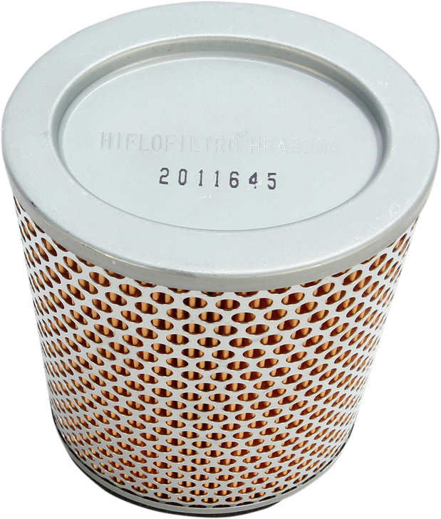 Hiflofiltro Replacement Air Filter - Triumph Hfa6504