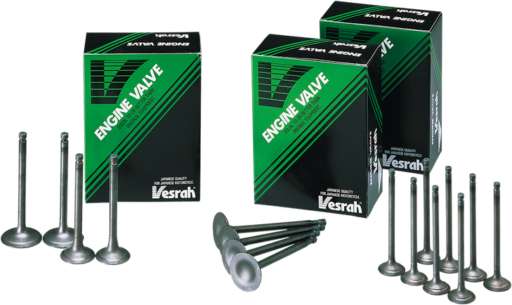 Vesrah Intake Valve Gg-4003-In