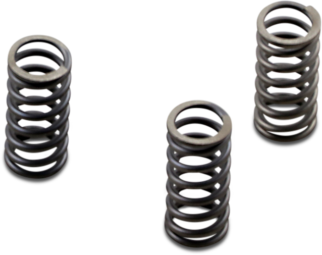 Ebc Clutch Springs - M8 Csk236