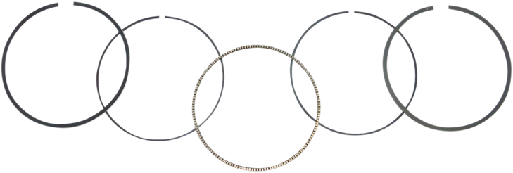 Wsm Piston Rings - 79.50 Mm - Honda 51-226-07