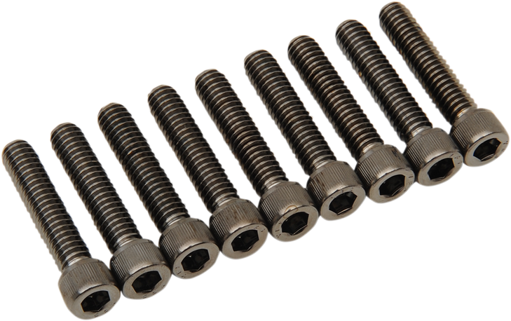 Drag Specialties Bolt Kit - Camshaft Cover - Black/Chrome - Knurled - M8