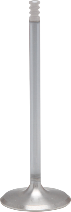 Kibblewhite Intake Valve 20-21060H