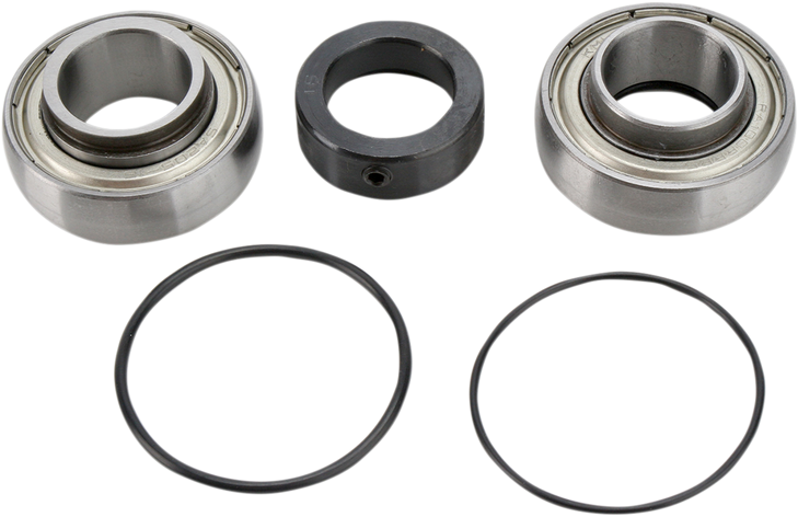 All Balls Chain Case Bearing And Seal Kit 14-1008