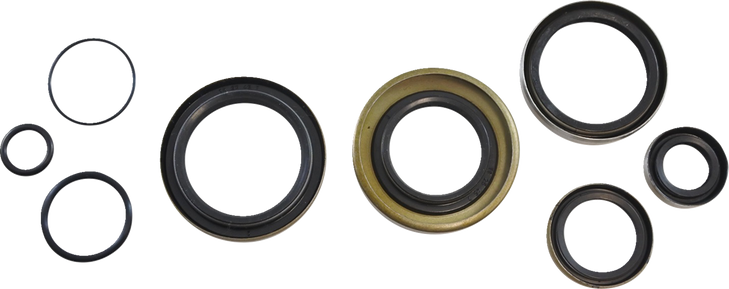 Vintco Oil Seal Kit - Kawasaki Kos015