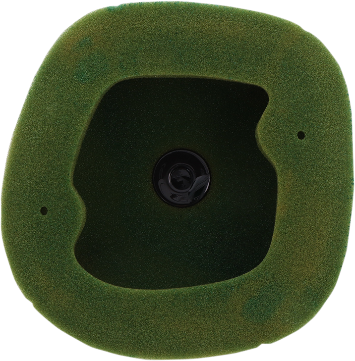 Twin Air Factory Pre-Oiled Air Filter - Beta 158089X