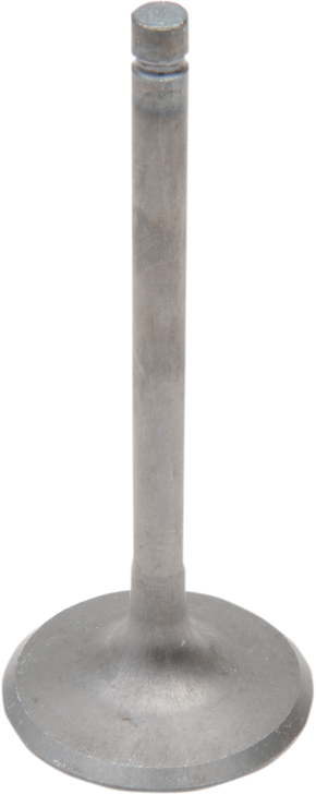 Vesrah Intake Valve Gg-2020-In