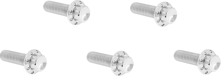 Arlen Ness Hardware Kit Titanuim 12Pt Derby Cover Polish 300-938