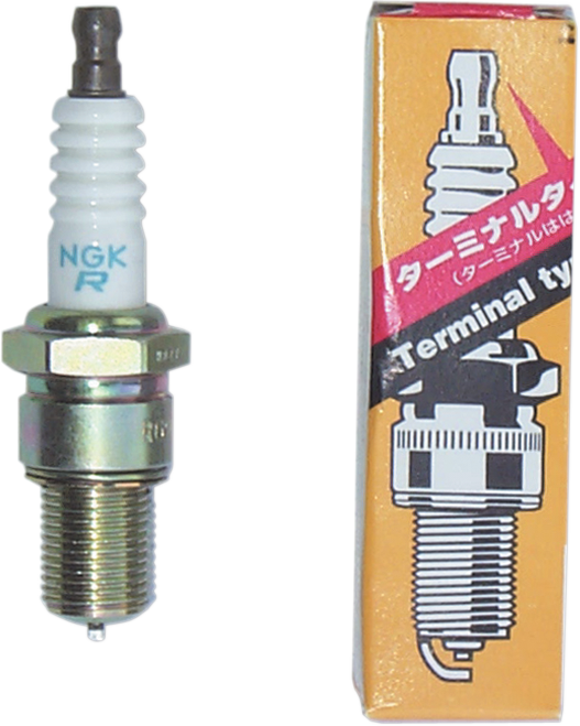 Ngk Spark Plugs Racing Spark Plug - R6918C-9 5196