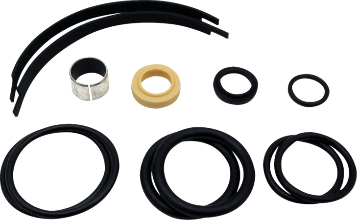 Complete Rebuild Kit 29-09-110-R