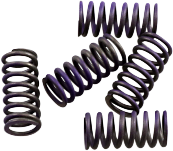Hinson Racing Clutch Spring Kit Cs341-5-0311