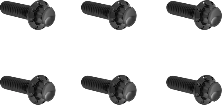 Arlen Ness Hardware Kit Titanuim 12Pt Trans Top Cvr Black 300-948