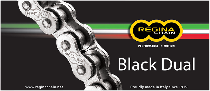 Regina 525 Zra - Drive Chain - 110 Links 137Zra/1004