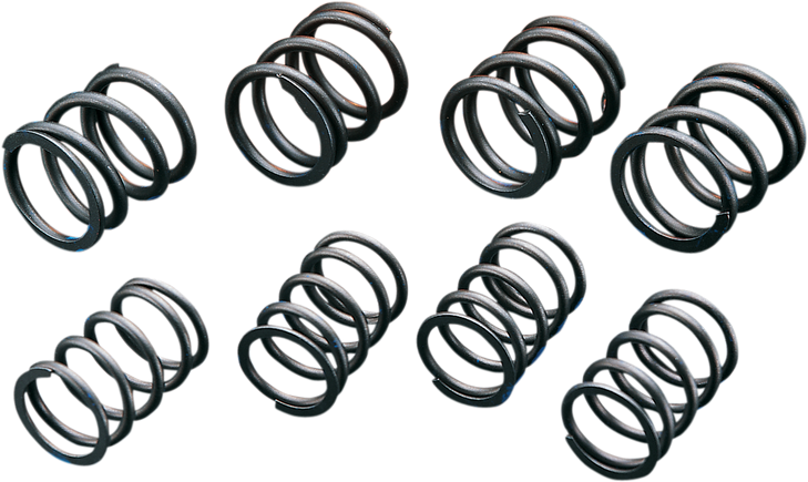 Andrews High-Lift Valve Springs 272110