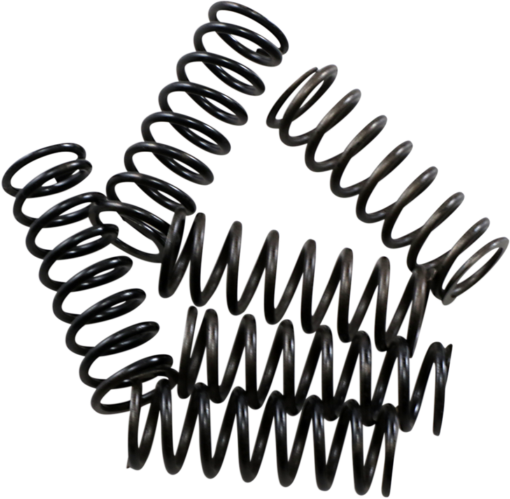 Hinson Racing Clutch Spring Kit Cs189-6-0613