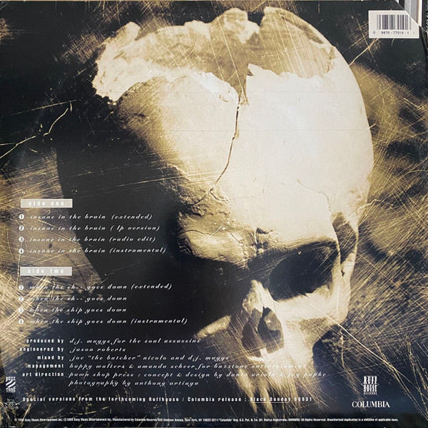 洋楽 CYPRESS HILL/INSANE IN THE BRAIN (US 12\