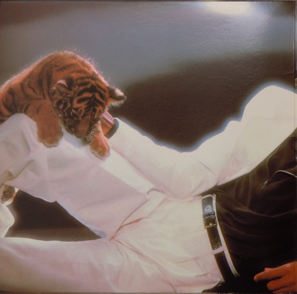 Michael Jackson - Thriller (LP, Album, Car)_3207267479 - BullTrax