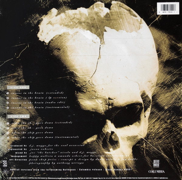 洋楽 CYPRESS HILL/INSANE IN THE BRAIN (US 12\